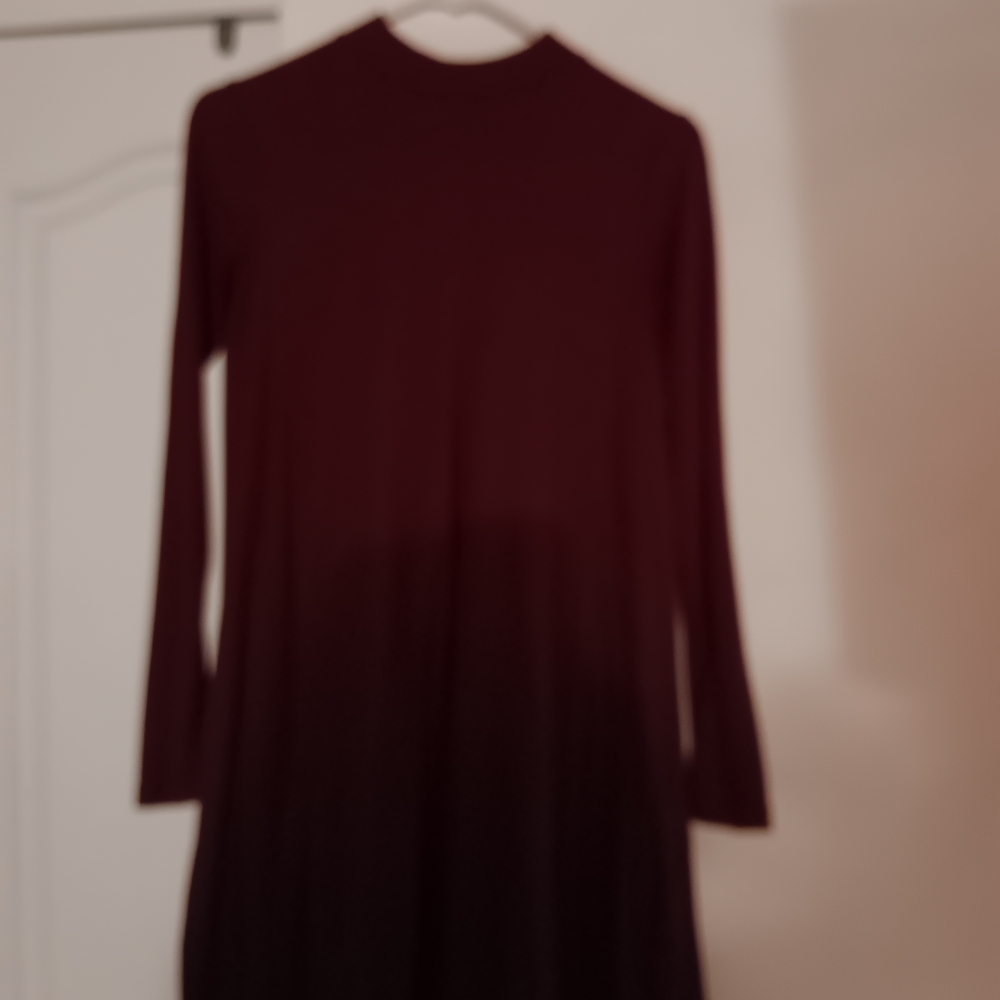 Aqua Deep Burgundy Long Sleeve Dress